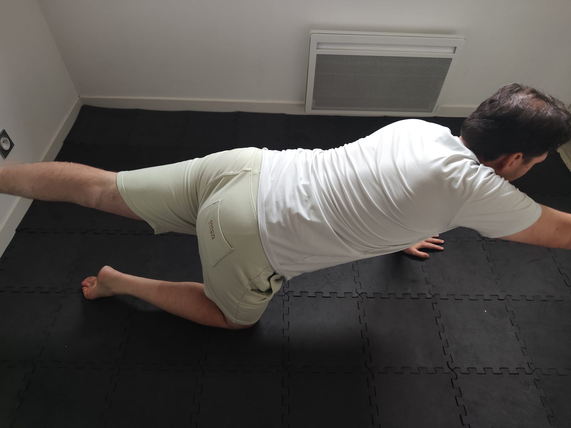 Exercice de gainage dynamique et de stabilité